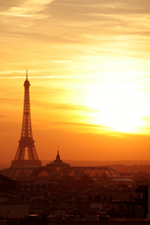 Global Internships